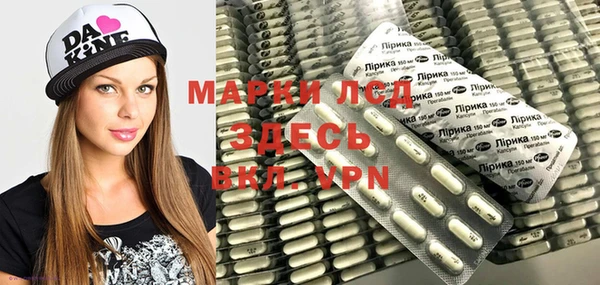 молекула духа Гатчина