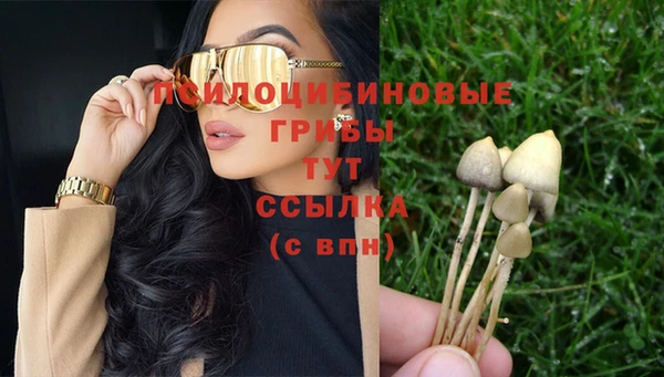 альфа пвп Покачи